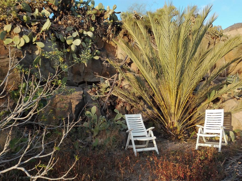 Finca Patio Canario 阿罗纳 外观 照片