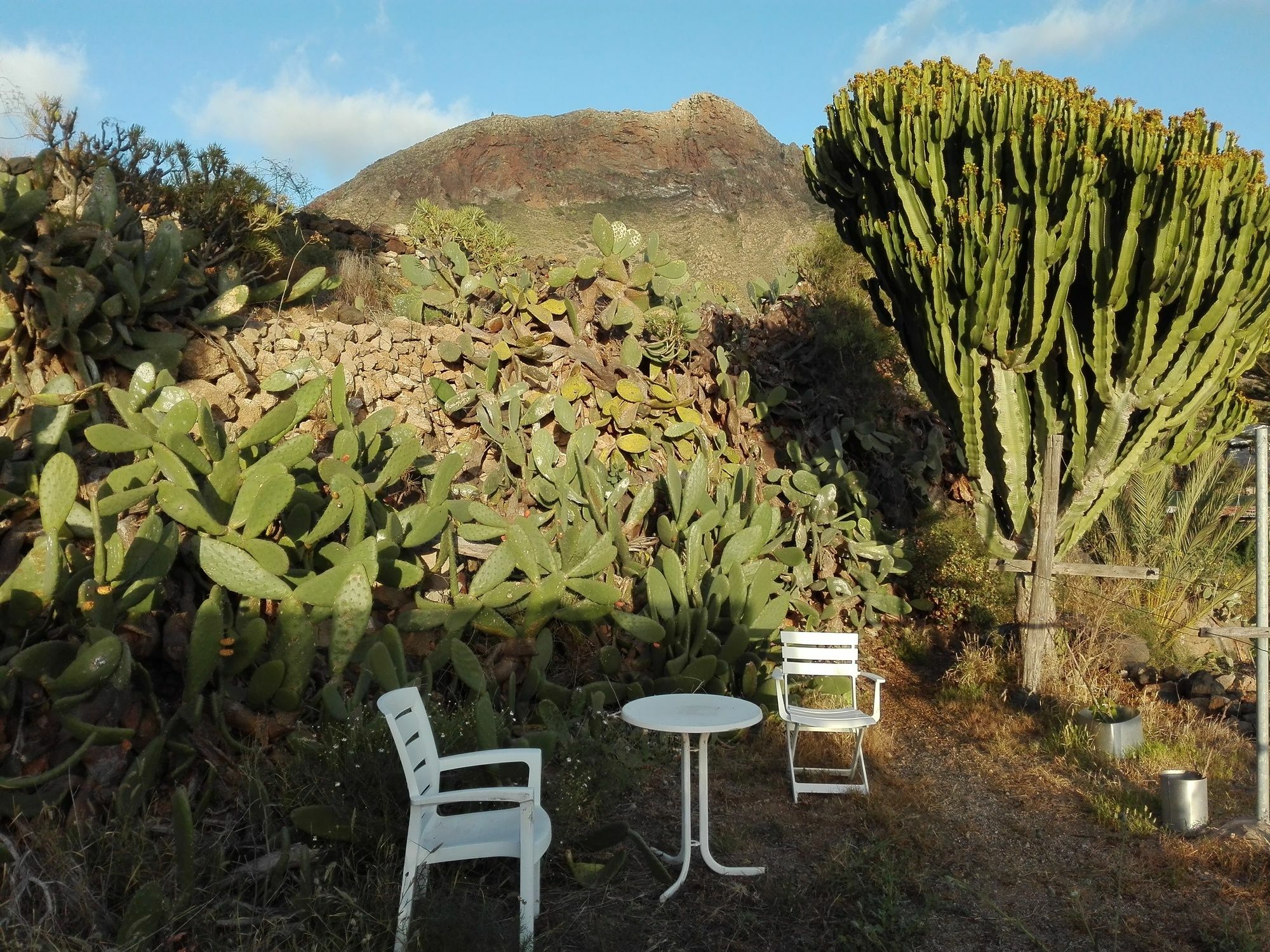 Finca Patio Canario 阿罗纳 外观 照片